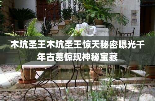 木坑圣王木坑圣王惊天秘密曝光千年古墓惊现神秘宝藏