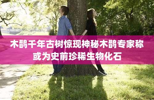 木鹊千年古树惊现神秘木鹊专家称或为史前珍稀生物化石
