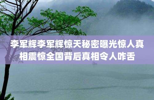 李军辉李军辉惊天秘密曝光惊人真相震惊全国背后真相令人咋舌