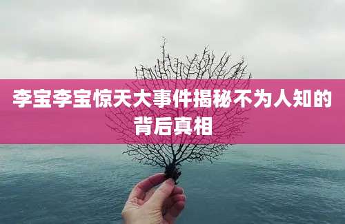 李宝李宝惊天大事件揭秘不为人知的背后真相