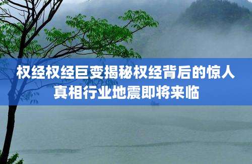 权经权经巨变揭秘权经背后的惊人真相行业地震即将来临