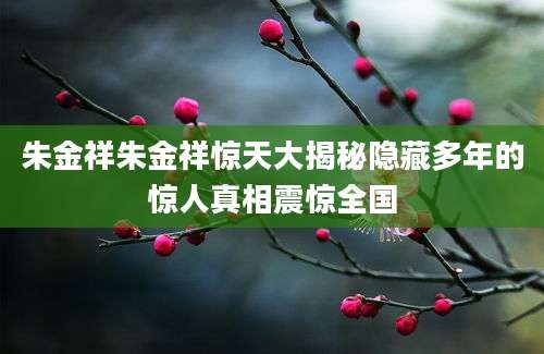 朱金祥朱金祥惊天大揭秘隐藏多年的惊人真相震惊全国