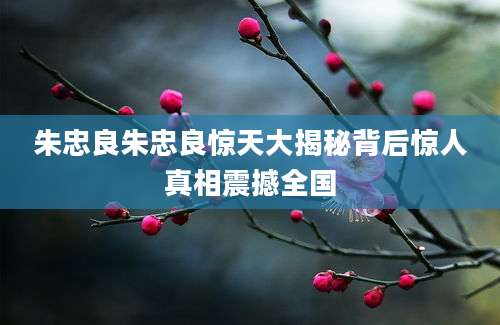 朱忠良朱忠良惊天大揭秘背后惊人真相震撼全国