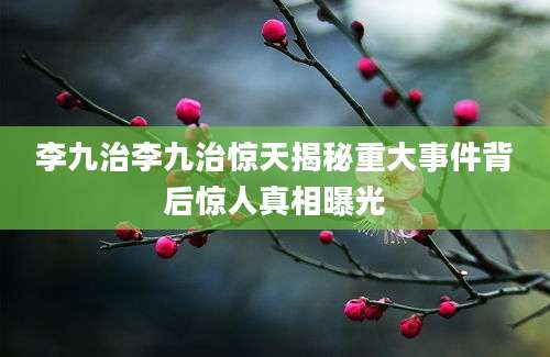 李九治李九治惊天揭秘重大事件背后惊人真相曝光