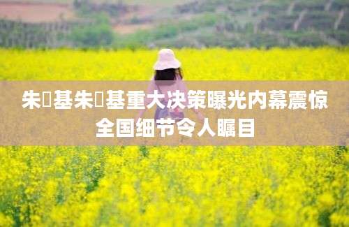 朱镕基朱镕基重大决策曝光内幕震惊全国细节令人瞩目