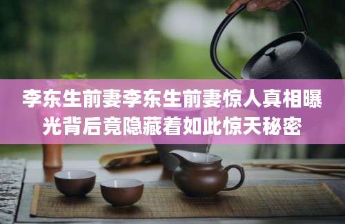 李东生前妻李东生前妻惊人真相曝光背后竟隐藏着如此惊天秘密