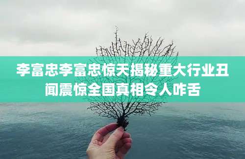 李富忠李富忠惊天揭秘重大行业丑闻震惊全国真相令人咋舌