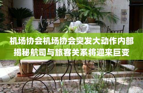 机场协会机场协会突发大动作内部揭秘航司与旅客关系将迎来巨变