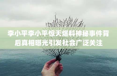李小平李小平惊天爆料神秘事件背后真相曝光引发社会广泛关注