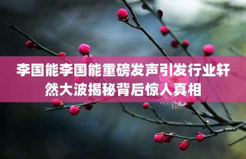 李国能李国能重磅发声引发行业轩然大波揭秘背后惊人真相