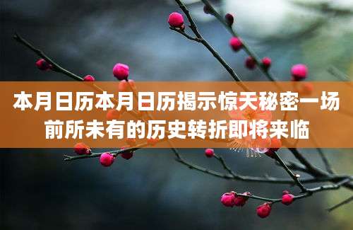 本月日历本月日历揭示惊天秘密一场前所未有的历史转折即将来临