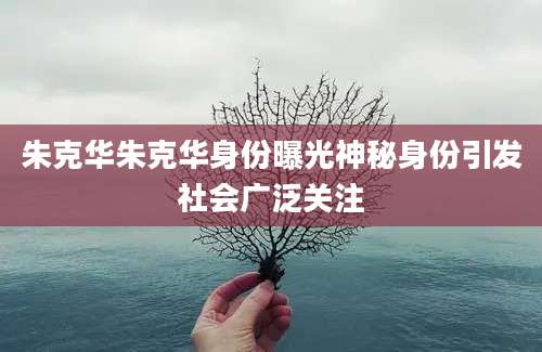 朱克华朱克华身份曝光神秘身份引发社会广泛关注