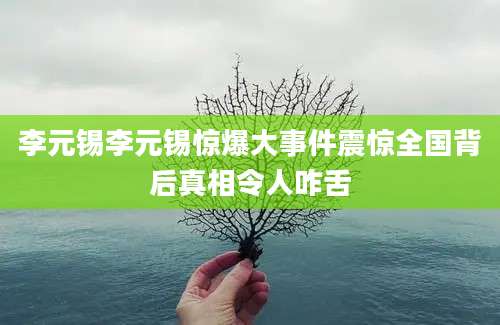 李元锡李元锡惊爆大事件震惊全国背后真相令人咋舌