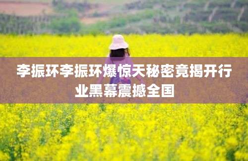 李振环李振环爆惊天秘密竟揭开行业黑幕震撼全国
