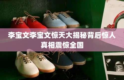 李宝文李宝文惊天大揭秘背后惊人真相震惊全国