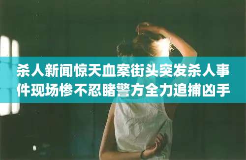 杀人新闻惊天血案街头突发杀人事件现场惨不忍睹警方全力追捕凶手