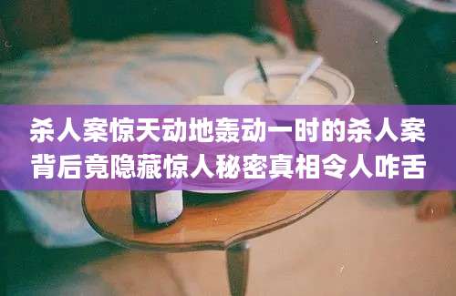 杀人案惊天动地轰动一时的杀人案背后竟隐藏惊人秘密真相令人咋舌