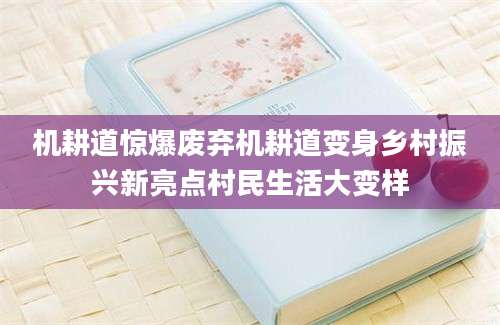 机耕道惊爆废弃机耕道变身乡村振兴新亮点村民生活大变样