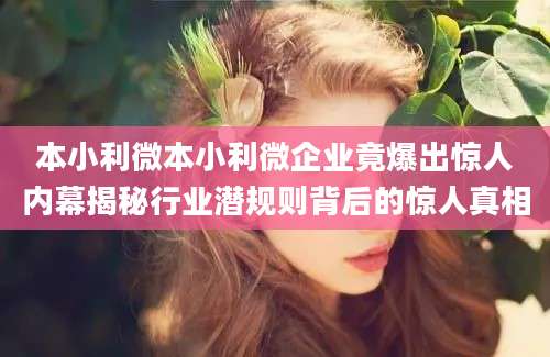 本小利微本小利微企业竟爆出惊人内幕揭秘行业潜规则背后的惊人真相