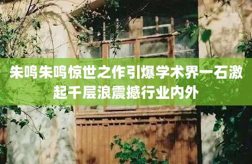 朱鸣朱鸣惊世之作引爆学术界一石激起千层浪震撼行业内外