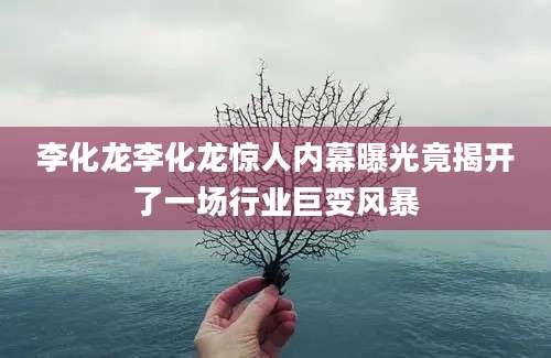 李化龙李化龙惊人内幕曝光竟揭开了一场行业巨变风暴