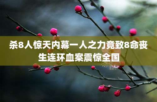 杀8人惊天内幕一人之力竟致8命丧生连环血案震惊全国