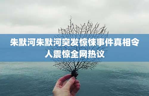 朱默河朱默河突发惊悚事件真相令人震惊全网热议