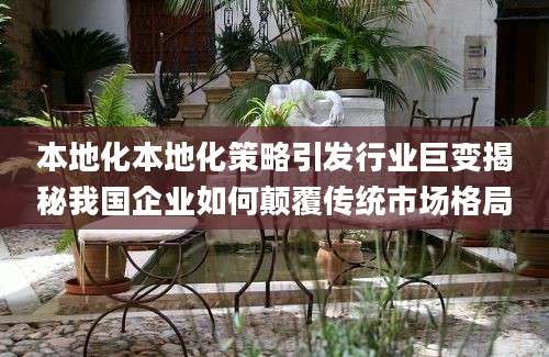 本地化本地化策略引发行业巨变揭秘我国企业如何颠覆传统市场格局