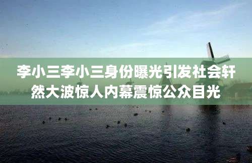 李小三李小三身份曝光引发社会轩然大波惊人内幕震惊公众目光
