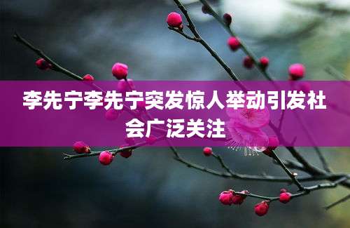 李先宁李先宁突发惊人举动引发社会广泛关注
