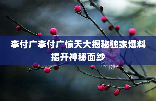 李付广李付广惊天大揭秘独家爆料揭开神秘面纱