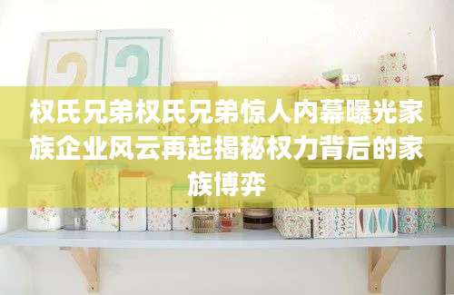 权氏兄弟权氏兄弟惊人内幕曝光家族企业风云再起揭秘权力背后的家族博弈