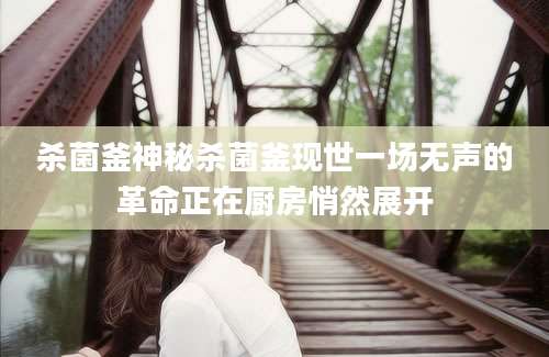 杀菌釜神秘杀菌釜现世一场无声的革命正在厨房悄然展开