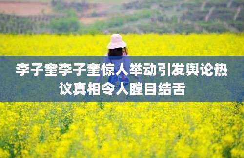 李子奎李子奎惊人举动引发舆论热议真相令人瞠目结舌