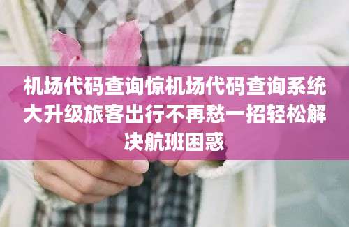 机场代码查询惊机场代码查询系统大升级旅客出行不再愁一招轻松解决航班困惑