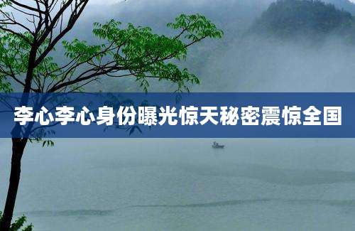 李心李心身份曝光惊天秘密震惊全国