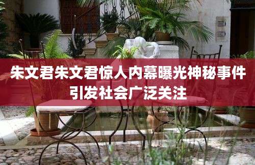 朱文君朱文君惊人内幕曝光神秘事件引发社会广泛关注