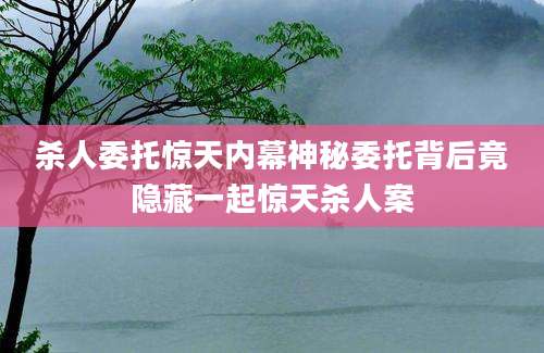 杀人委托惊天内幕神秘委托背后竟隐藏一起惊天杀人案