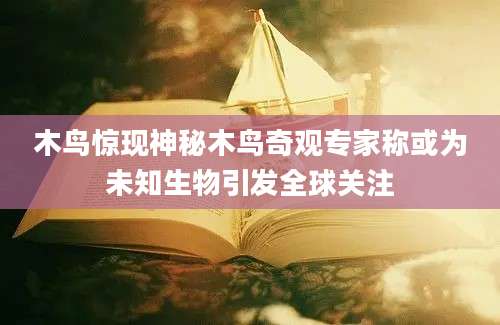 木鸟惊现神秘木鸟奇观专家称或为未知生物引发全球关注