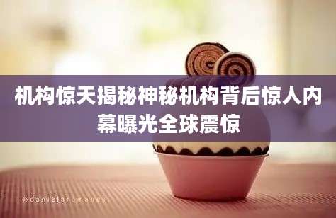 机构惊天揭秘神秘机构背后惊人内幕曝光全球震惊