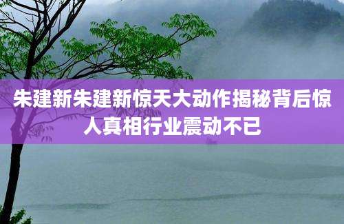 朱建新朱建新惊天大动作揭秘背后惊人真相行业震动不已