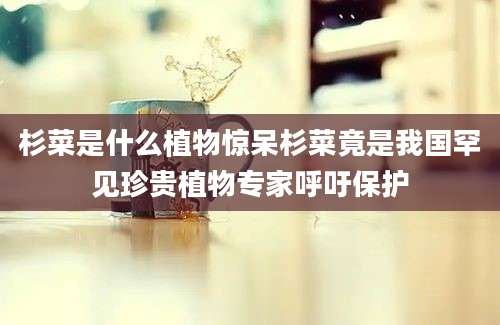 杉菜是什么植物惊呆杉菜竟是我国罕见珍贵植物专家呼吁保护