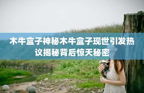 木牛盒子神秘木牛盒子现世引发热议揭秘背后惊天秘密