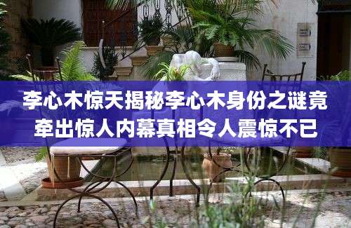 李心木惊天揭秘李心木身份之谜竟牵出惊人内幕真相令人震惊不已