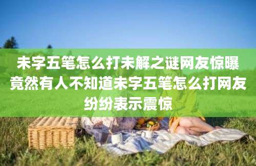 未字五笔怎么打未解之谜网友惊曝竟然有人不知道未字五笔怎么打网友纷纷表示震惊