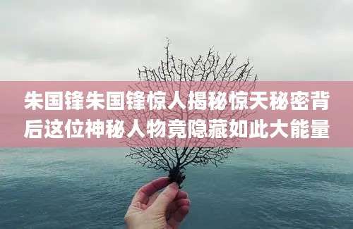 朱国锋朱国锋惊人揭秘惊天秘密背后这位神秘人物竟隐藏如此大能量