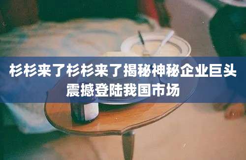杉杉来了杉杉来了揭秘神秘企业巨头震撼登陆我国市场