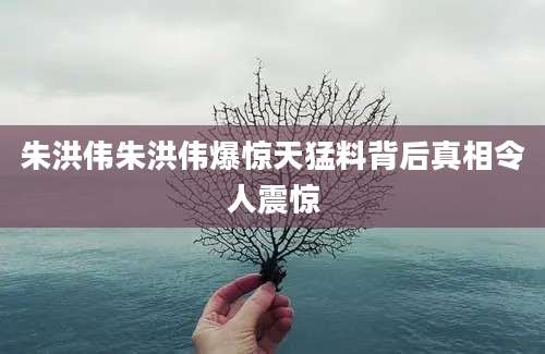 朱洪伟朱洪伟爆惊天猛料背后真相令人震惊