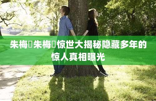 朱梅邨朱梅邨惊世大揭秘隐藏多年的惊人真相曝光