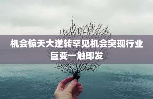 机会惊天大逆转罕见机会突现行业巨变一触即发